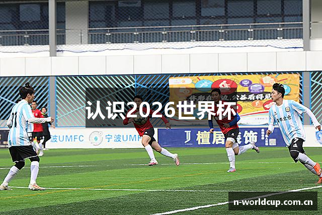 认识2026世界杯